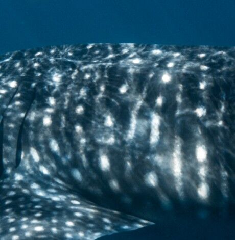 12bc8cb7-bd8e-4632-9e76-d3bfe9086a95