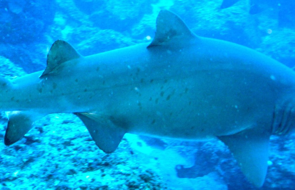 ba4ecccd-0bec-4863-9b08-4f10f95a9b70