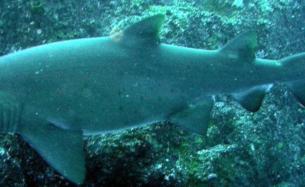 ba4ecccd-0bec-4863-9b08-4f10f95a9b70