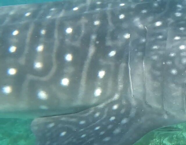 21b53a21-6614-431c-a4ef-e01668df024c