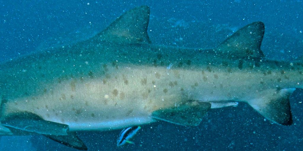 8ac99811-1d88-40af-9c52-c9d1c52ead63