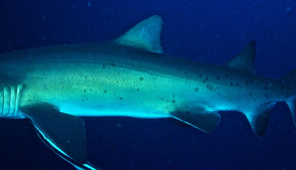 e01fd35e-ae97-4d6e-9cd8-9cd38adba9b2