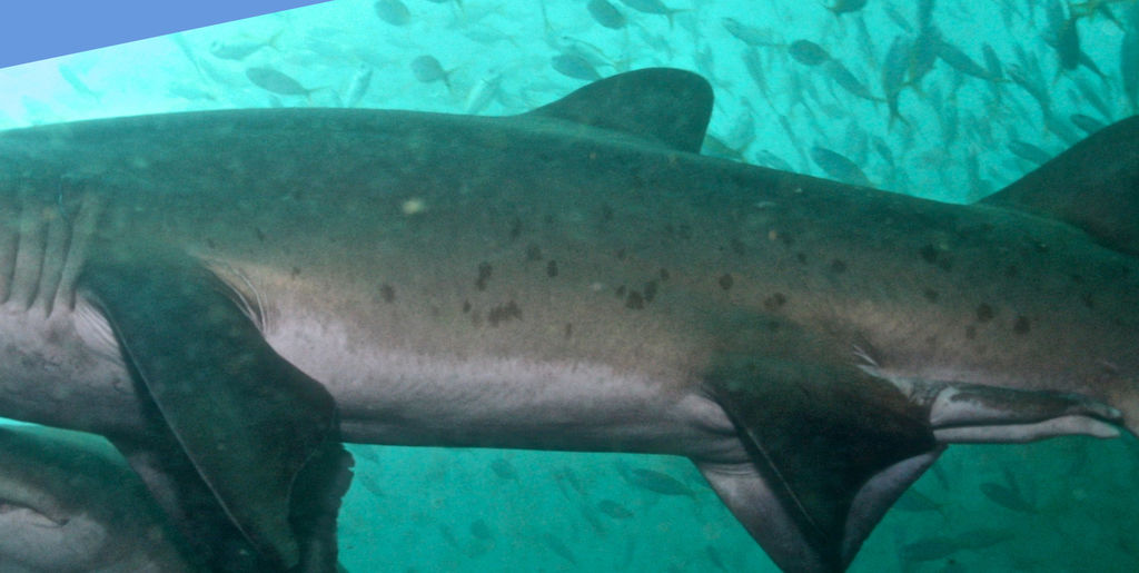 d3dd5313-d5c6-448c-8970-b440d22bb67e