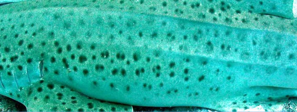 ad7ce5f4-6853-408c-a68c-bf1269529ea1