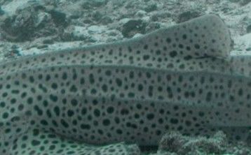 779bad75-d336-4148-ae61-3eb42b8410b3