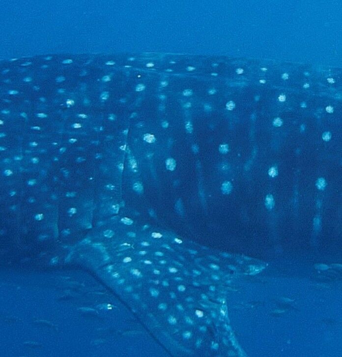 d90cf896-f424-412d-b96f-568225fee1e6