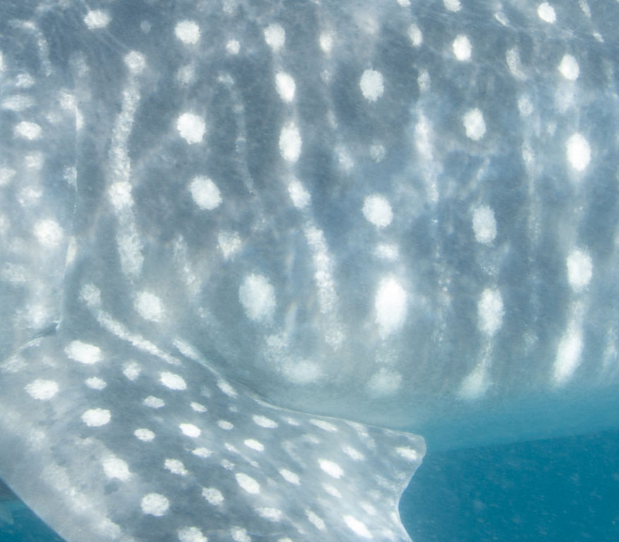 003374e7-8e15-4a60-ae26-e06298f7f0af