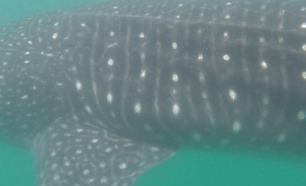 8023dbf5-9817-4f6d-845b-8809a2a06357