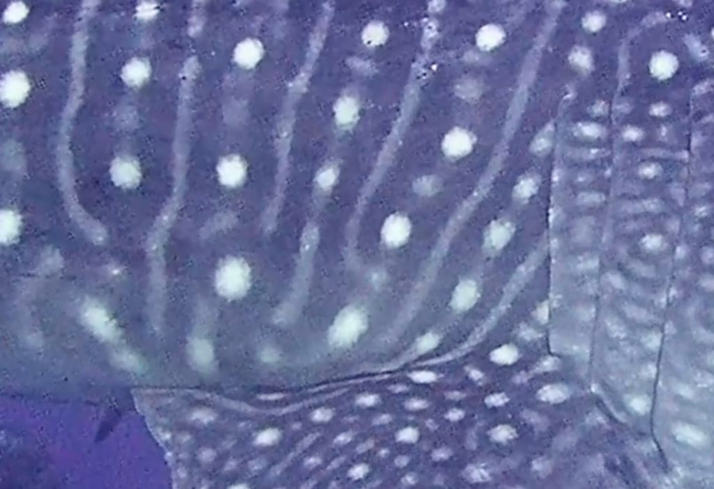 5858df1d-d17c-43c7-a96d-ea315b4cb45e