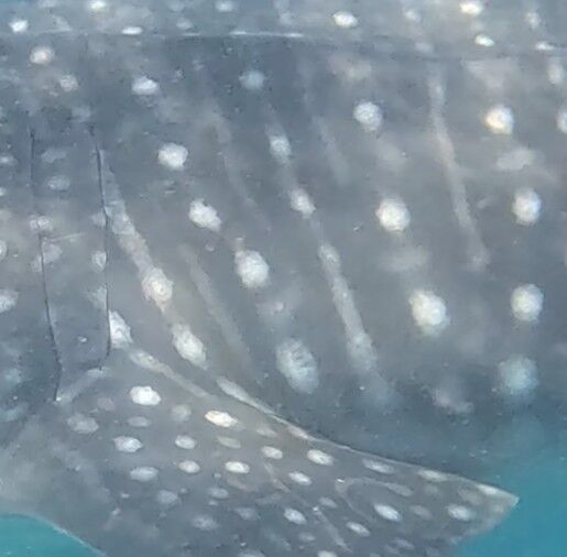 37e06426-c79d-4ecd-ae6d-f53123e27b4f