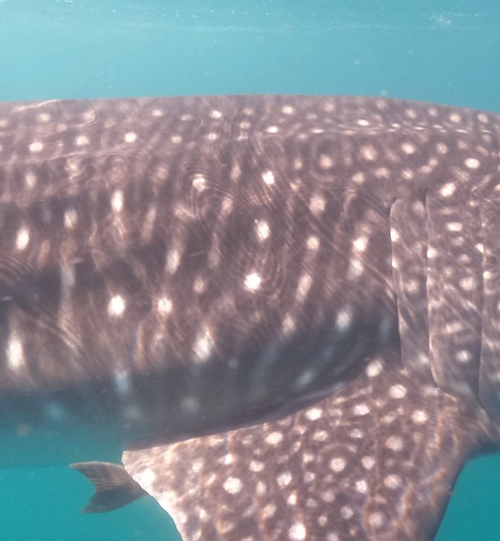 ecf17ce0-97f0-49c0-a246-6b76ac56c7f9