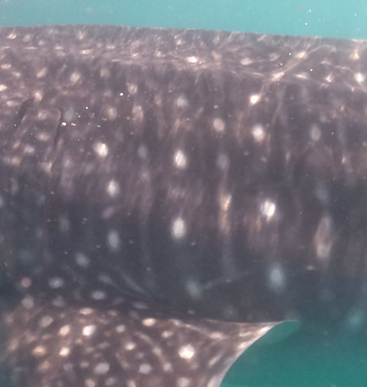 ecf17ce0-97f0-49c0-a246-6b76ac56c7f9