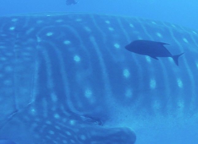 7e852ccc-45e0-43a5-af6b-e971ef59fe80