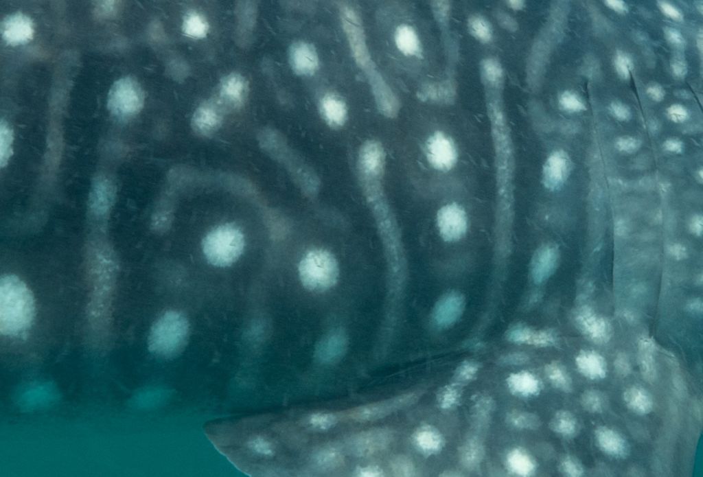 a16d984d-f308-4135-999e-5cbbdee74499