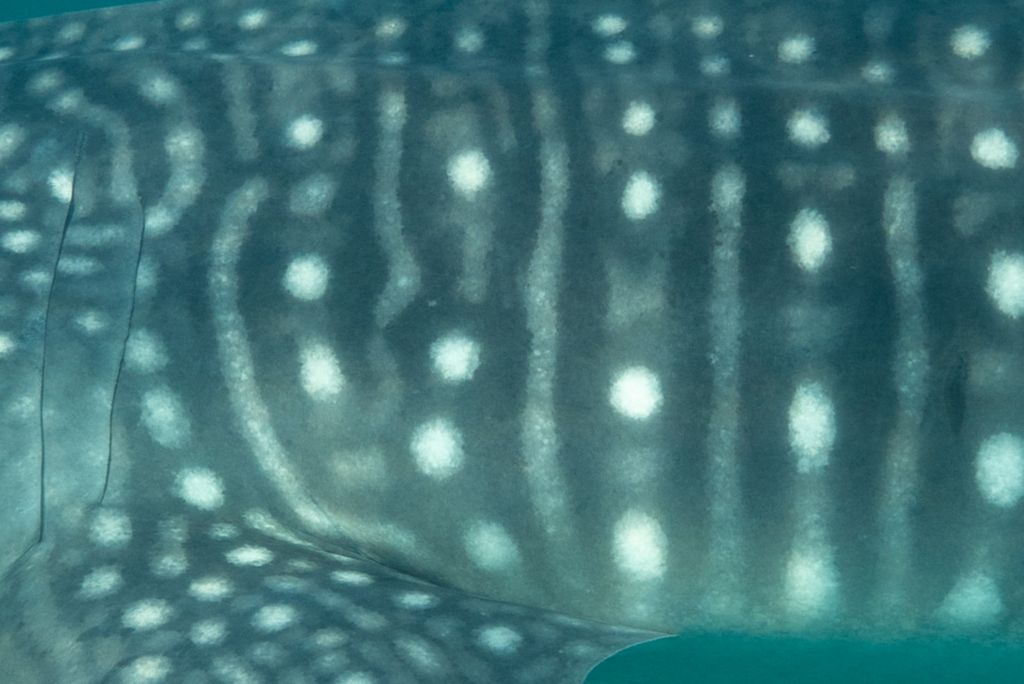 a16d984d-f308-4135-999e-5cbbdee74499