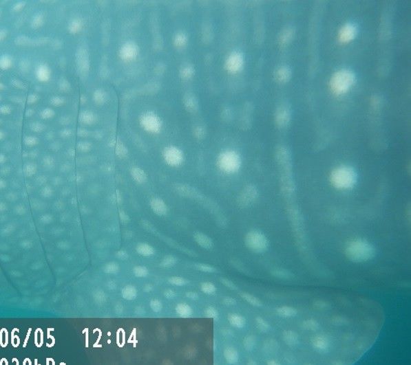 6f7efa87-26f6-44b1-9067-a9be7c8c17a3