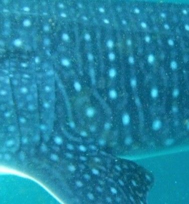 7642ff87-eef6-4421-a625-7a3747cf4a45