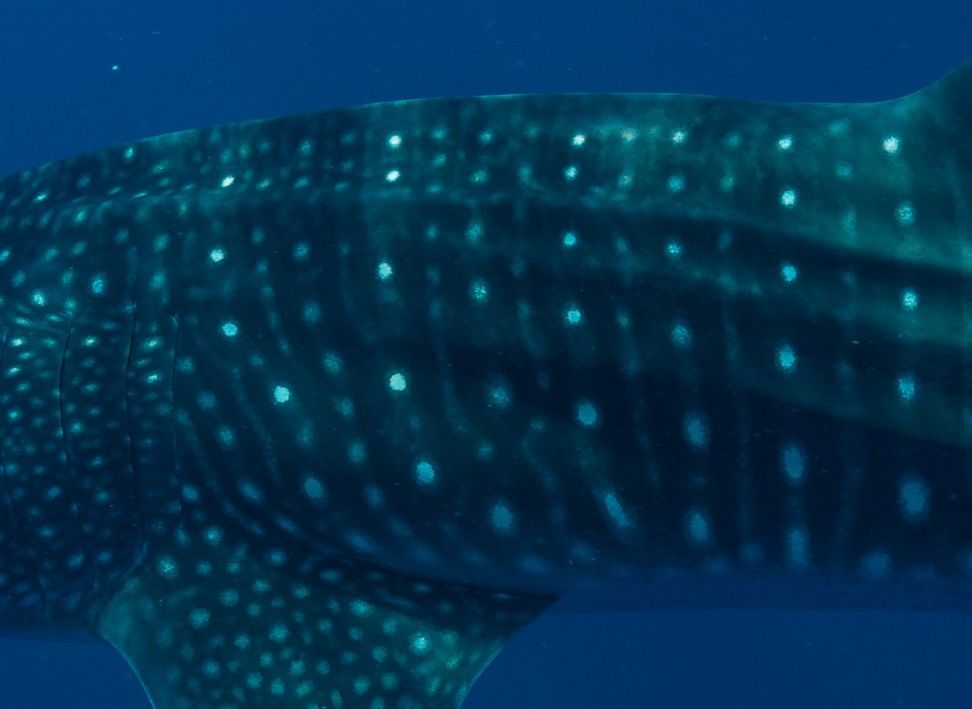 7b08cee8-d20d-48f4-922b-6d352d952a45