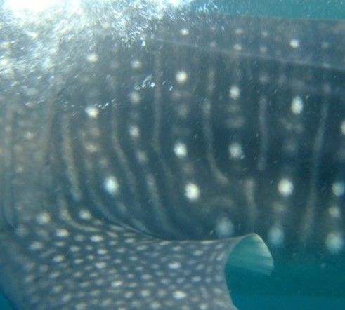 3dae038d-8f3d-4cf9-b6e4-3a473f14e11d