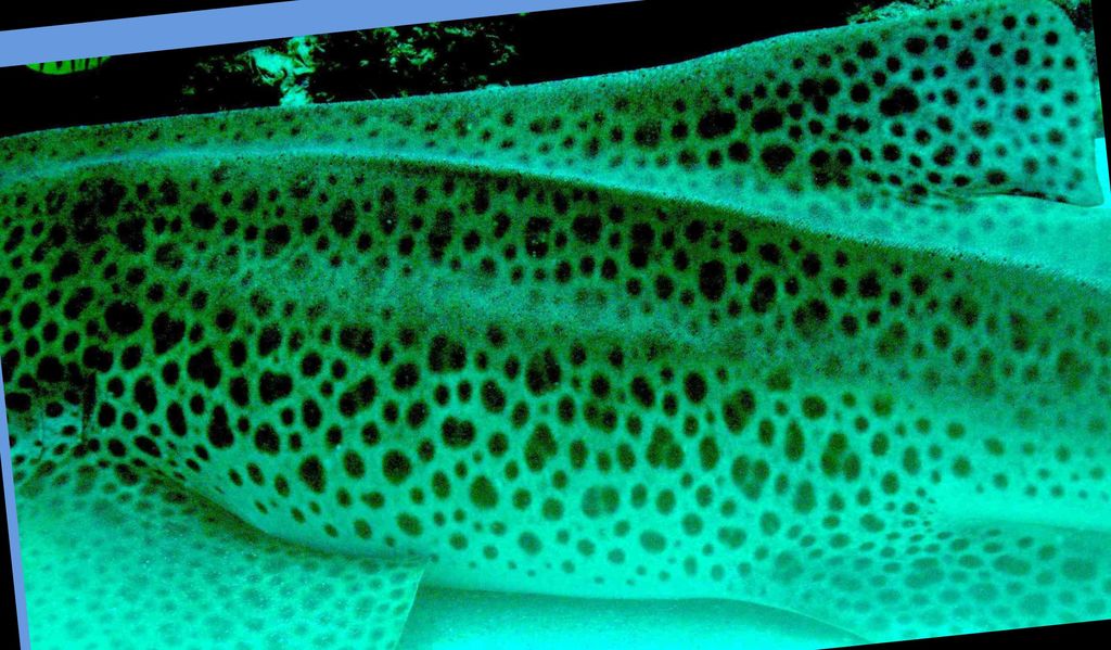 cd64f719-a524-4585-8406-13a765f78d03