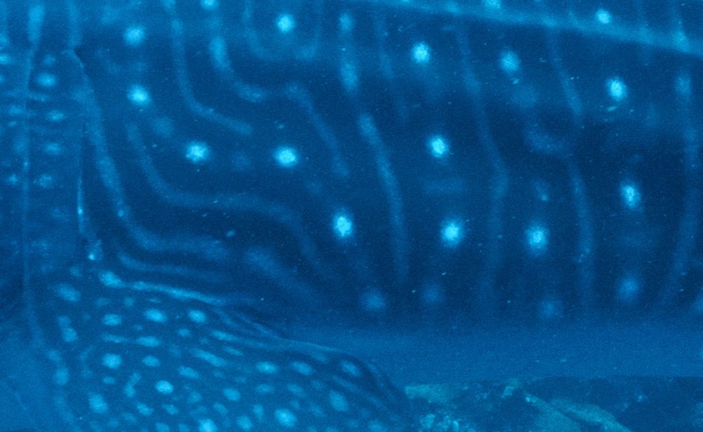 28c6f788-6faf-45aa-8b17-7380f6f11b0e