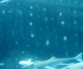 14c4bc6d-a9d7-4e59-b90b-039bdff0fb99