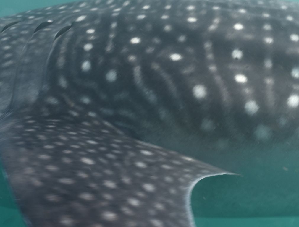 6270a87a-1889-4293-ad95-53c79cd19784