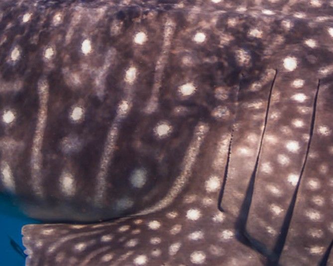 bcfa8c0f-89cb-4ea5-be0a-3696477ee127