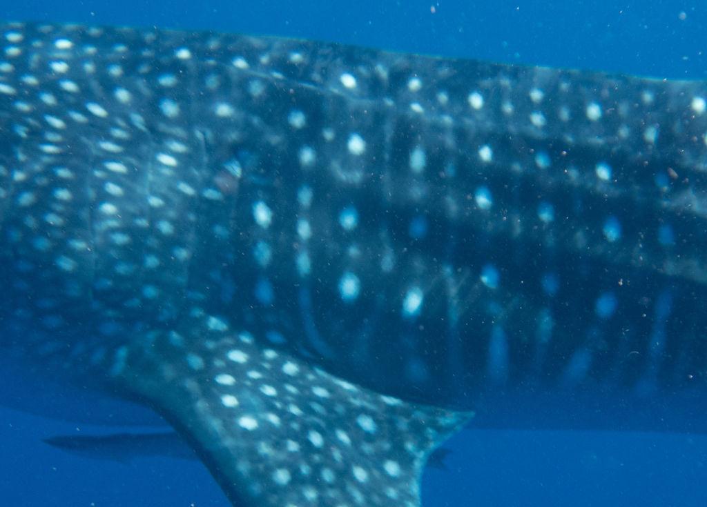 6bb32d94-255d-4ac9-af3e-84d88e031984