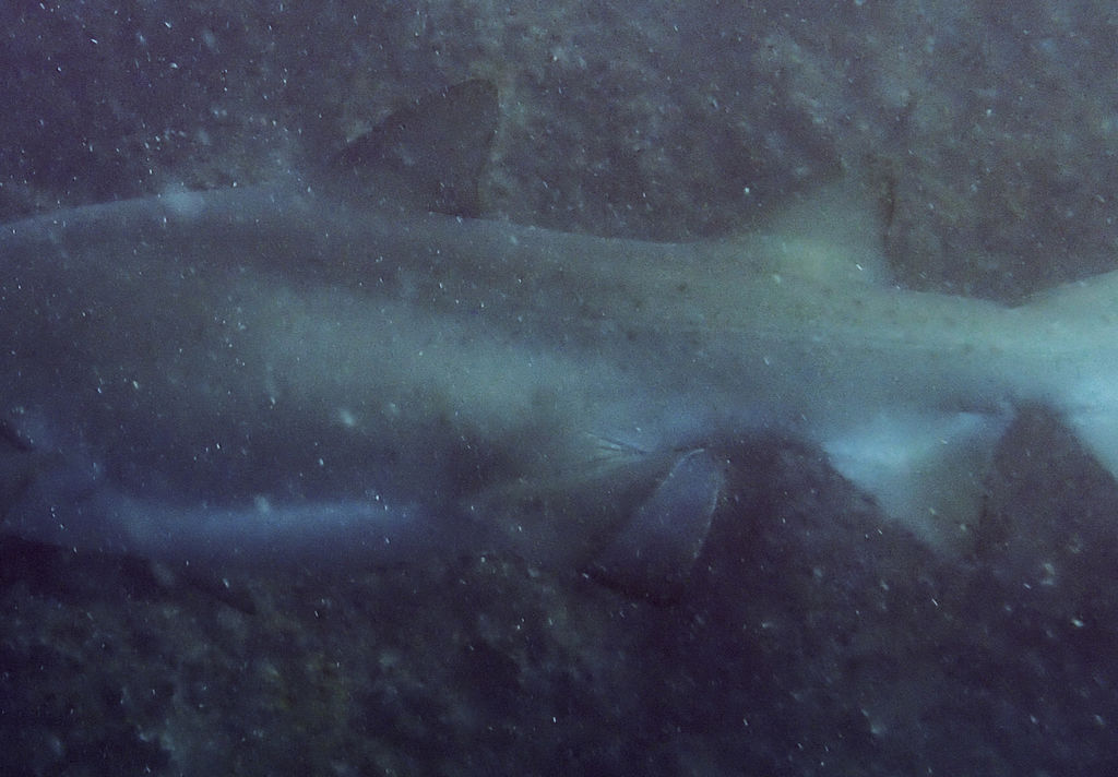 e9169409-4a23-4047-8135-4dd1e4600375