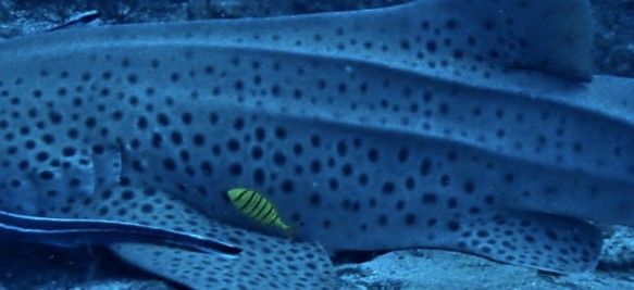 36bf3eb2-e98b-4a3c-894e-2881db0ab0c4