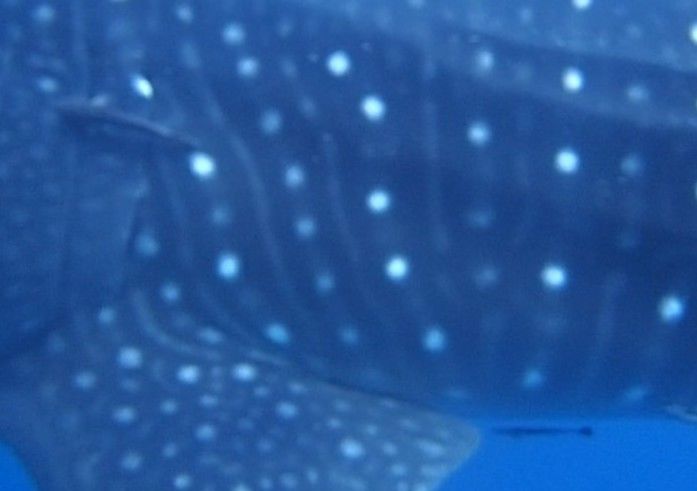 3db8b58c-3ad4-40bf-9303-62a4aa4c7b45