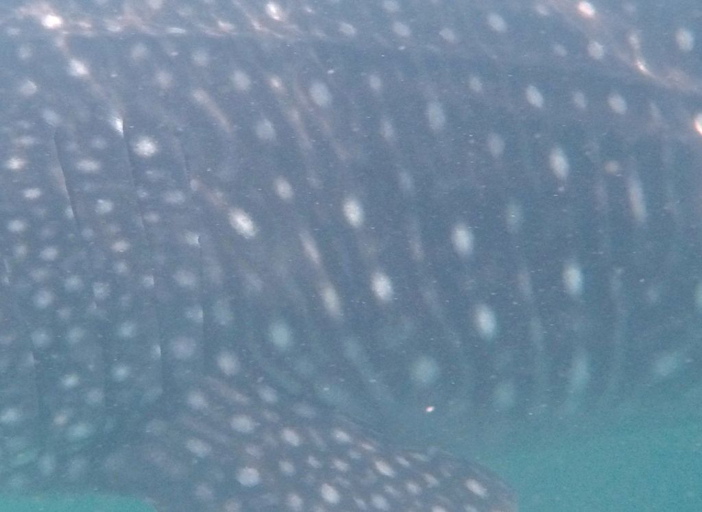 0787d9d3-a1d5-453e-9108-604d99e4027d