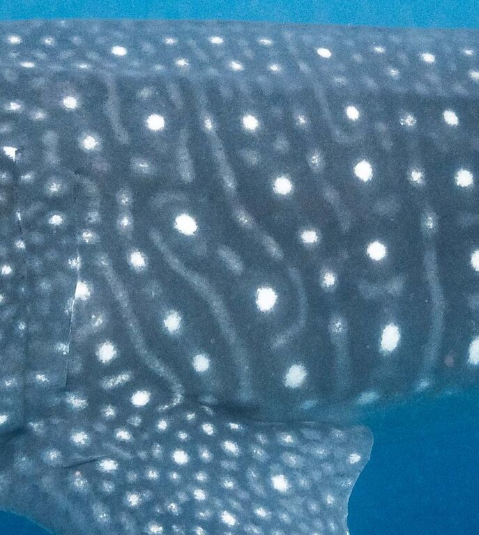 512222a7-26af-4539-aaf7-0e0dfe3cc001