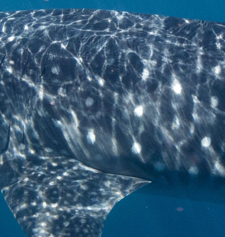 3c47ea5e-43f8-4644-8045-01082a62f57e