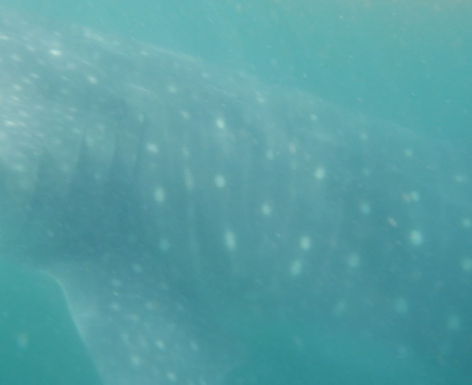 8c6d396c-91eb-4536-82a9-e5b89d713844