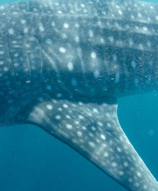 1287b598-db1c-4f50-8431-3ecea86387dd