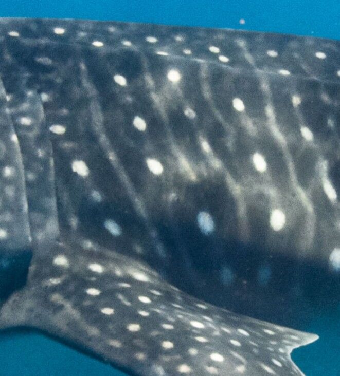 a63abc97-8dd2-451e-a8a6-6706e681cb4b