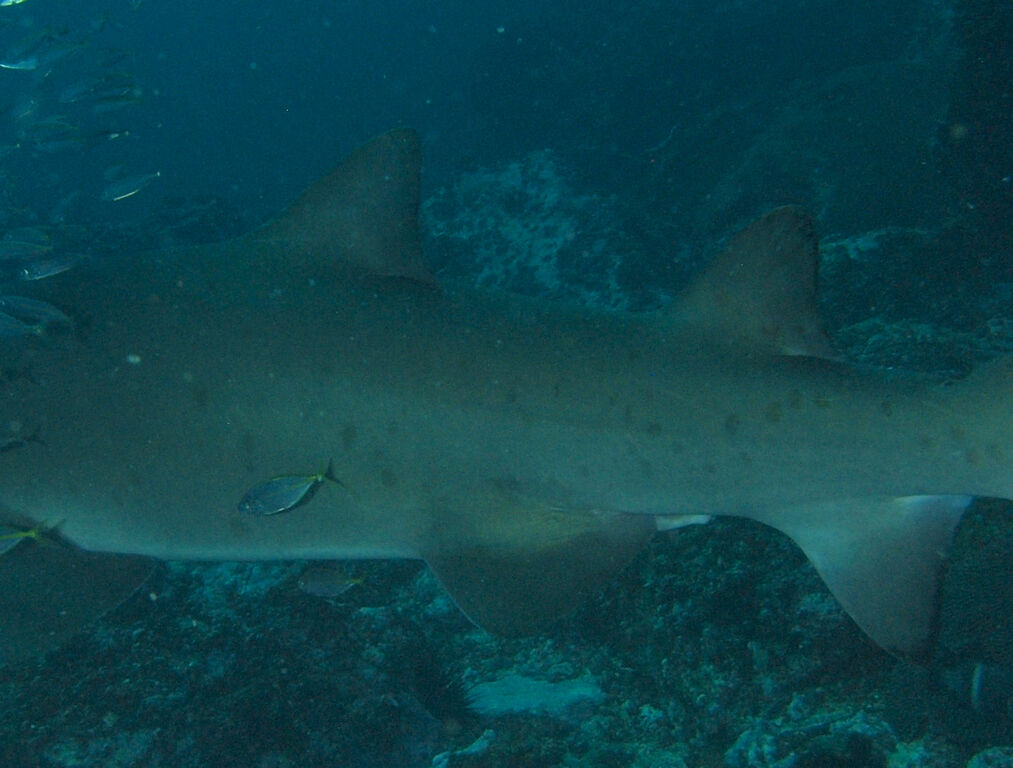 d0f7540e-1e39-492e-af0f-b9730daa0ecc