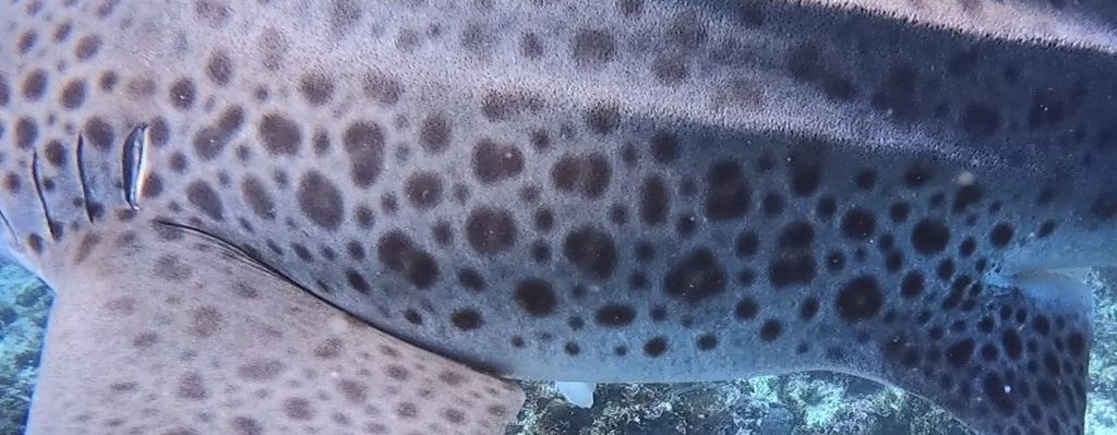 59c12914-671f-47b7-af59-403e537bf1f2