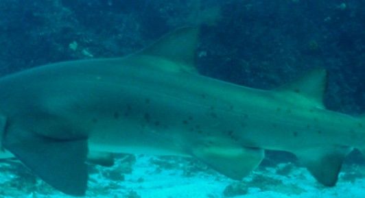 78f285af-2de2-4e3f-9849-b1b2a60fcb0a