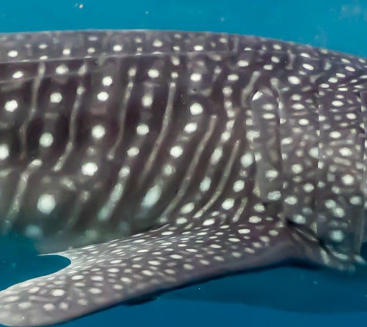 eaa2f86a-a4f9-49a4-b6a1-8929d3dcb1a0