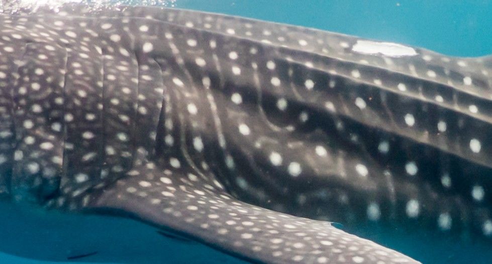 eaa2f86a-a4f9-49a4-b6a1-8929d3dcb1a0