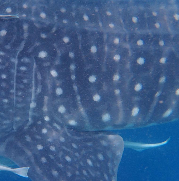 d4406d25-aed0-4166-b88c-14e609a78fb0