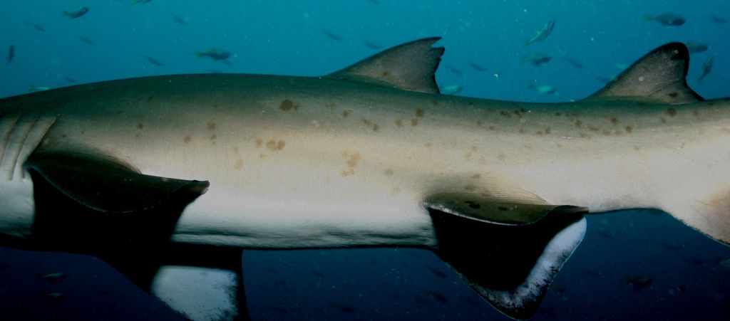 dcebe3fc-b53a-4e65-9e08-d2fe1832c731