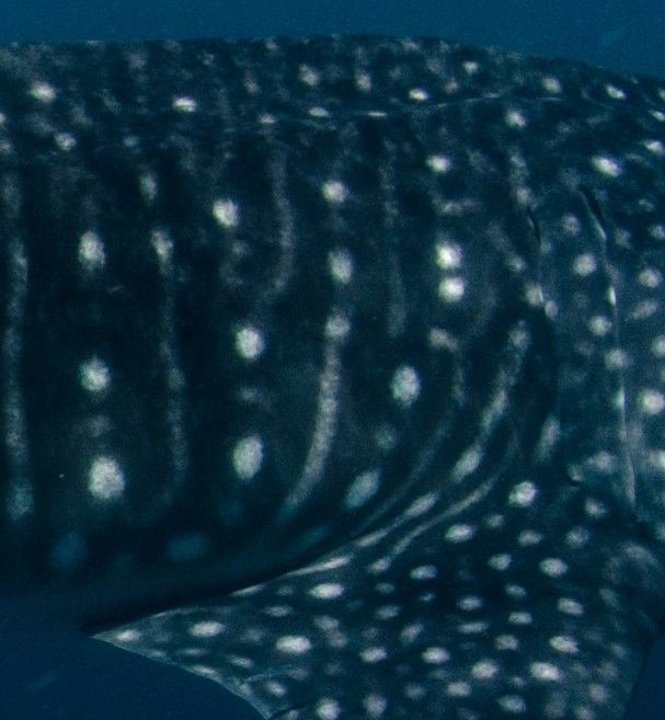 01c64b54-9a23-4b7f-bea9-44daf1bd2dda