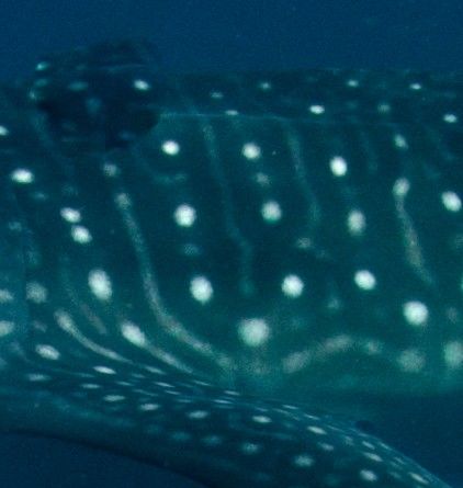 01c64b54-9a23-4b7f-bea9-44daf1bd2dda