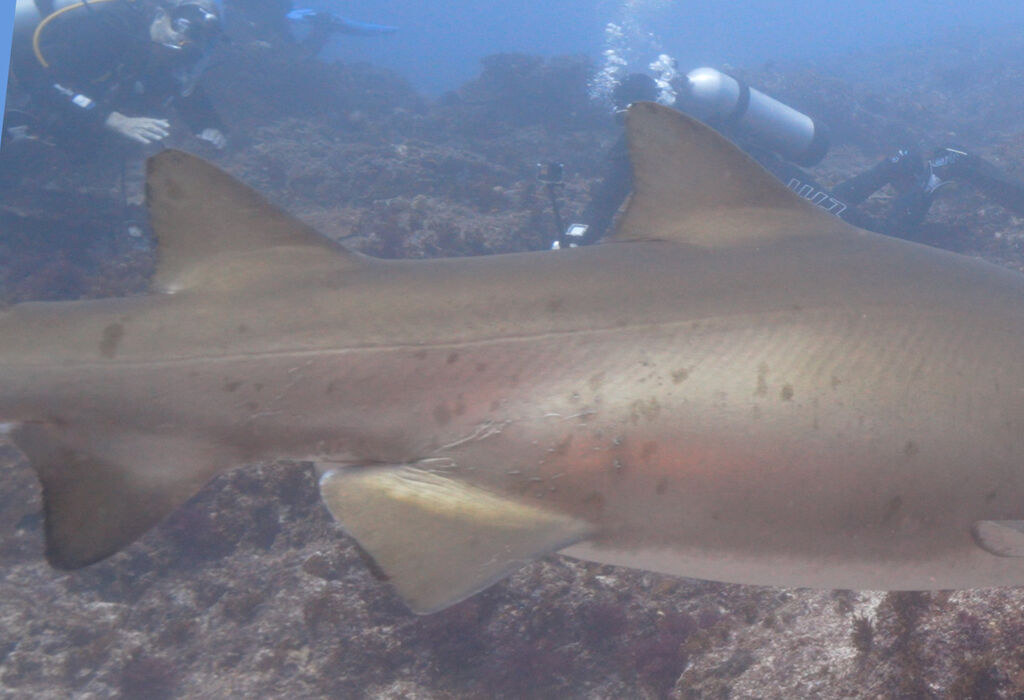 3f6da1e5-109f-4ff8-b51a-77349a33cc9c