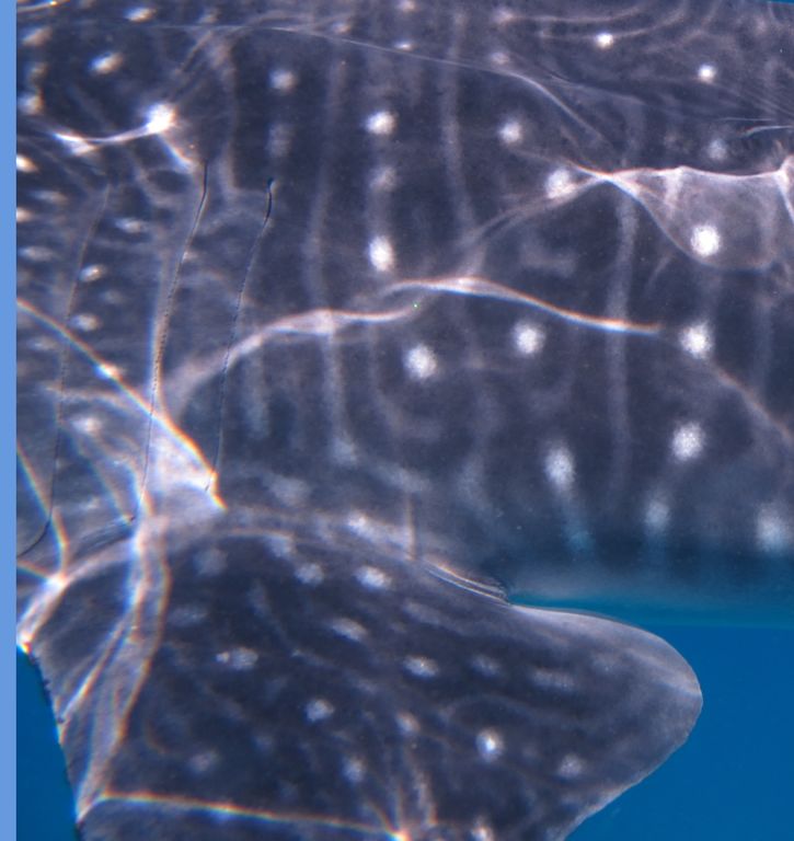 5b1e593d-dfc1-47db-80c1-c580a6613a44