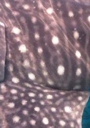 8cb487ee-6232-4003-aba6-eb22acb497b1